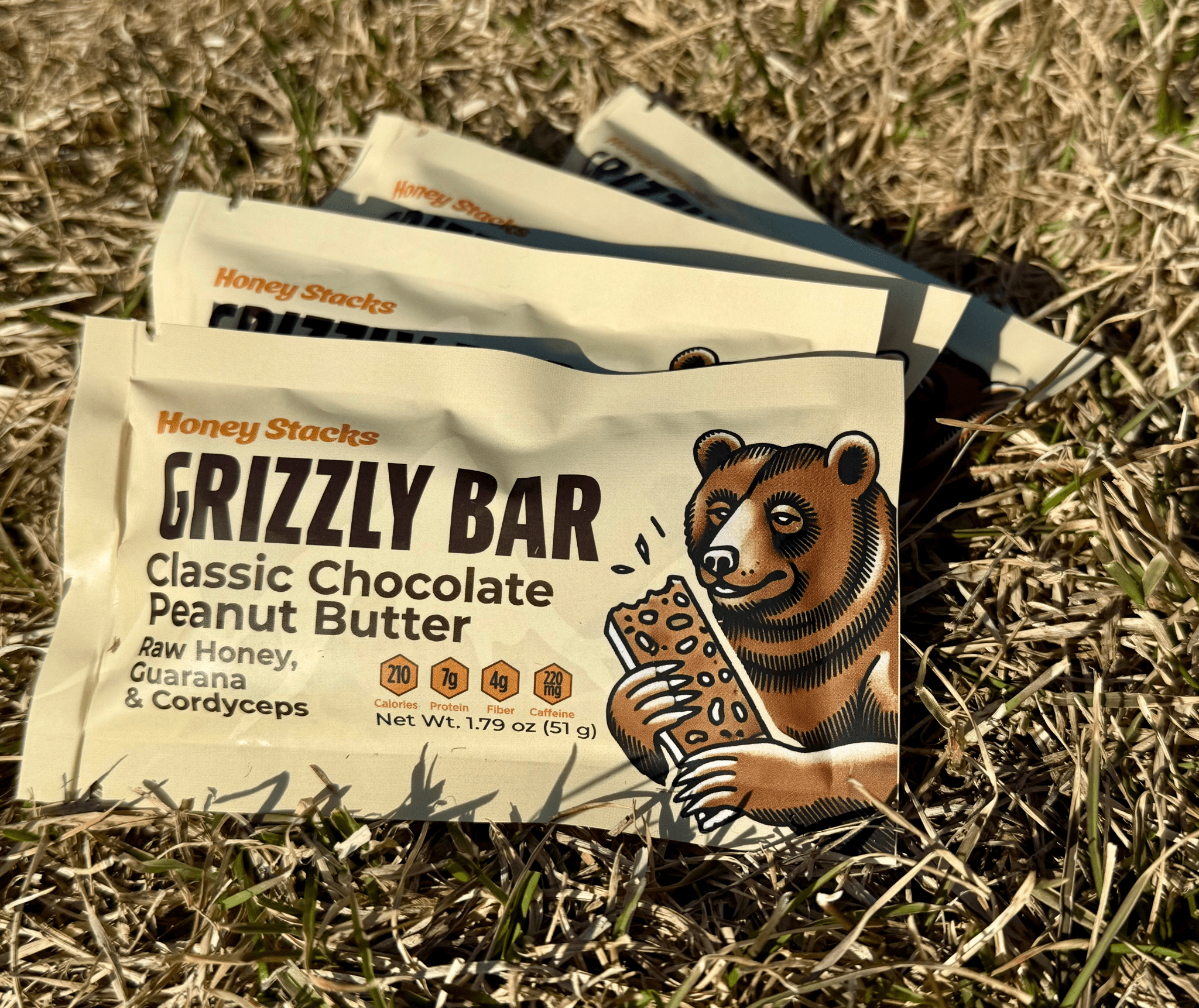 Energy Bars for Nature Hikes